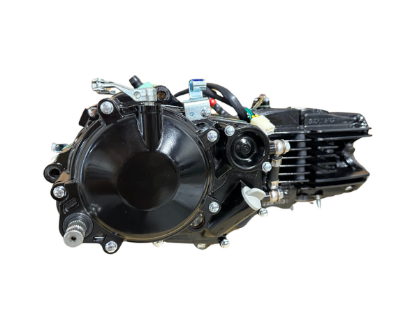 Daytona Anima 190cc Engine FS5 Model - Black