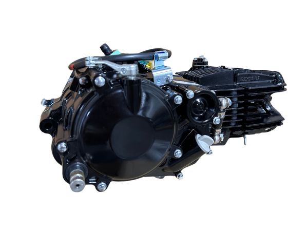 Daytona Anima 190cc Engine FZ5 Model - Black