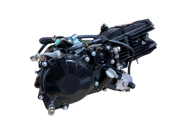 Daytona Anima 190cc Engine FE Model - Black